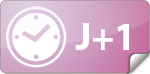 J+1